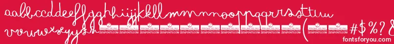 BimboTrial Font – White Fonts on Red Background