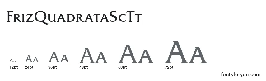 Размеры шрифта FrizQuadrataScTt