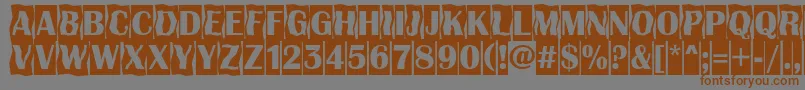 Шрифт AAlbionicttlcmdc2cmbBold – коричневые шрифты на сером фоне