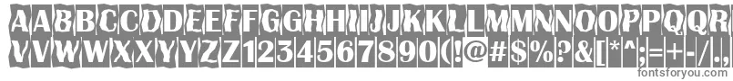AAlbionicttlcmdc2cmbBold-Schriftart – Graue Schriften auf weißem Hintergrund
