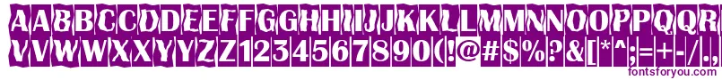 AAlbionicttlcmdc2cmbBold-Schriftart – Violette Schriften auf weißem Hintergrund