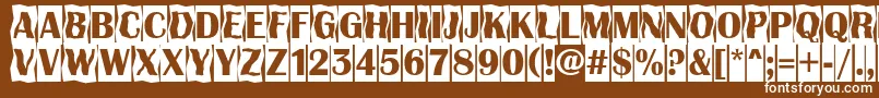 フォントAAlbionicttlcmdc2cmbBold – 茶色の背景に白い文字