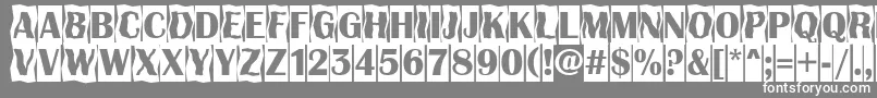 AAlbionicttlcmdc2cmbBold-fontti – valkoiset fontit harmaalla taustalla