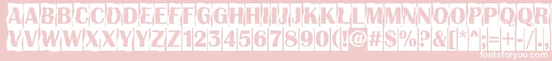 AAlbionicttlcmdc2cmbBold Font – White Fonts on Pink Background