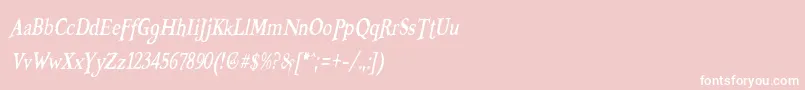 BooterZeroFive-Schriftart – Weiße Schriften auf rosa Hintergrund