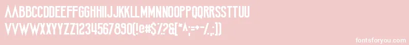 AmateurCamcorder Font – White Fonts on Pink Background