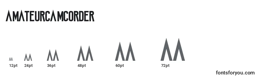 AmateurCamcorder Font Sizes
