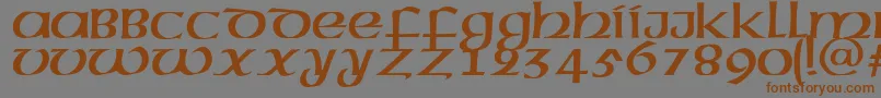 MegenRus Font – Brown Fonts on Gray Background