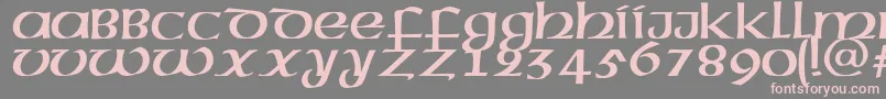 MegenRus-Schriftart – Rosa Schriften auf grauem Hintergrund