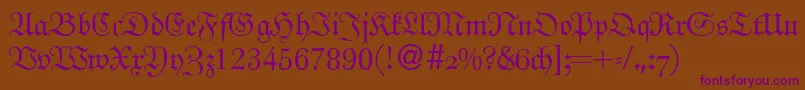 UngeldbNormal Font – Purple Fonts on Brown Background