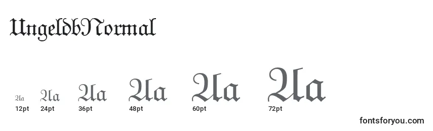 Размеры шрифта UngeldbNormal