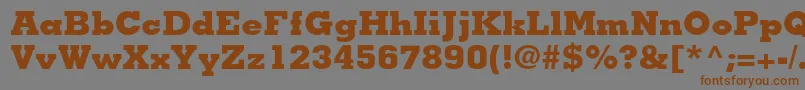 MemphisltstdExtrabold Font – Brown Fonts on Gray Background