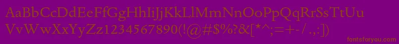 DantemtstdRegular Font – Brown Fonts on Purple Background