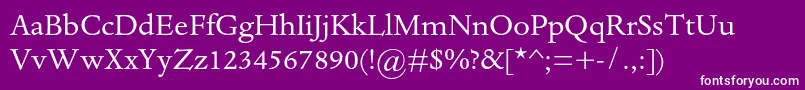 DantemtstdRegular Font – White Fonts on Purple Background