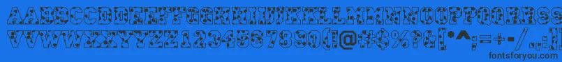 CampusS Font – Black Fonts on Blue Background