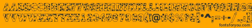 CampusS Font – Black Fonts on Orange Background