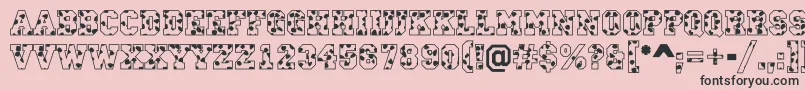 CampusS Font – Black Fonts on Pink Background