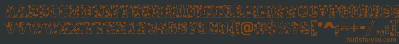 CampusS Font – Brown Fonts on Black Background