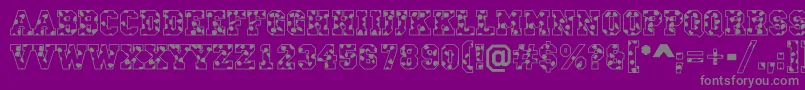 CampusS-Schriftart – Graue Schriften auf violettem Hintergrund