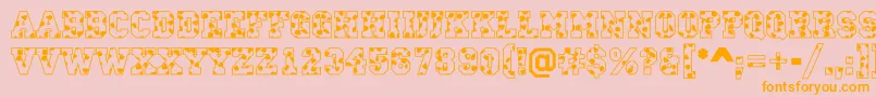 CampusS Font – Orange Fonts on Pink Background