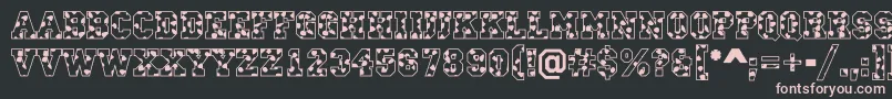 CampusS Font – Pink Fonts on Black Background