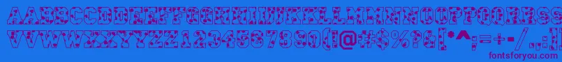 CampusS Font – Purple Fonts on Blue Background