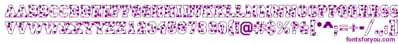 CampusS Font – Purple Fonts on White Background