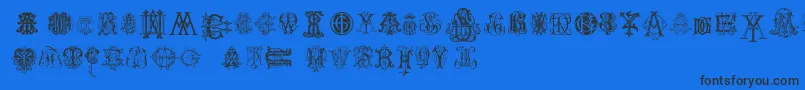 IntellectaMonogramsRandomSamplesTwo Font – Black Fonts on Blue Background