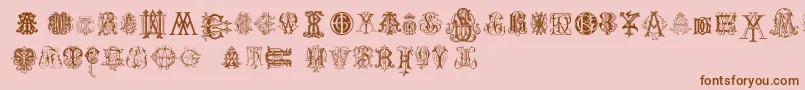 IntellectaMonogramsRandomSamplesTwo Font – Brown Fonts on Pink Background