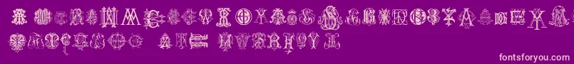 IntellectaMonogramsRandomSamplesTwo Font – Pink Fonts on Purple Background