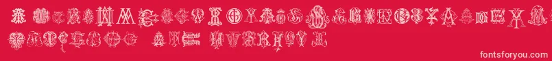 IntellectaMonogramsRandomSamplesTwo Font – Pink Fonts on Red Background