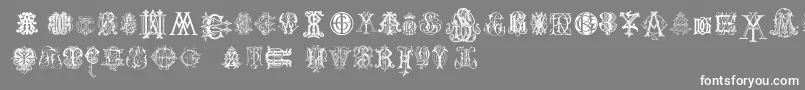 IntellectaMonogramsRandomSamplesTwo Font – White Fonts on Gray Background