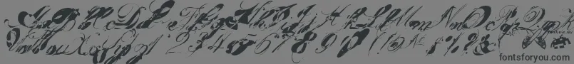 Garglenutz.Fontvir.Us-Schriftart – Schwarze Schriften auf grauem Hintergrund
