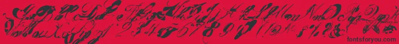 Garglenutz.Fontvir.Us Font – Black Fonts on Red Background