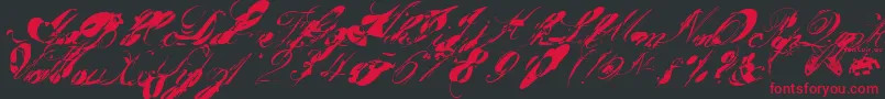 Garglenutz.Fontvir.Us Font – Red Fonts on Black Background