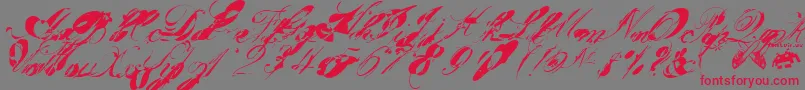 Garglenutz.Fontvir.Us Font – Red Fonts on Gray Background