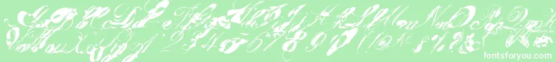 フォントGarglenutz.Fontvir.Us – 緑の背景に白い文字