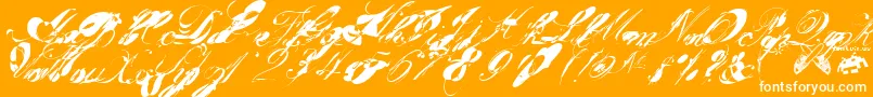 Garglenutz.Fontvir.Us-Schriftart – Weiße Schriften auf orangefarbenem Hintergrund
