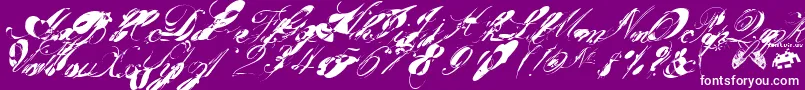 Garglenutz.Fontvir.Us-Schriftart – Weiße Schriften auf violettem Hintergrund