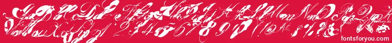 フォントGarglenutz.Fontvir.Us – 赤い背景に白い文字