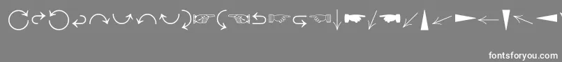 DirectionsMt Font – White Fonts on Gray Background