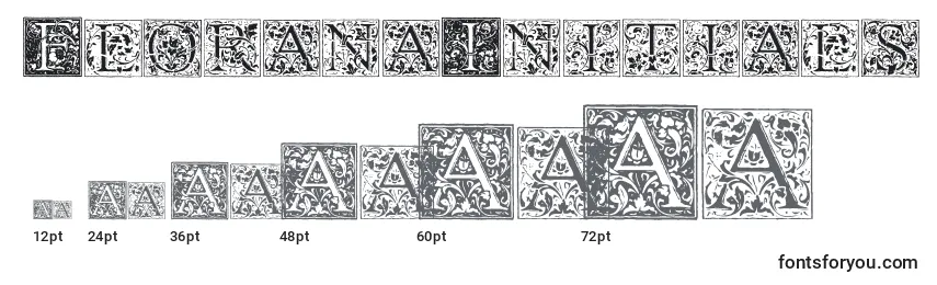 Размеры шрифта FloranaInitials