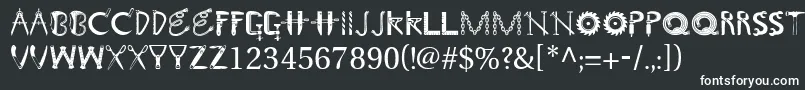 Toolshopcaps Font – White Fonts on Black Background