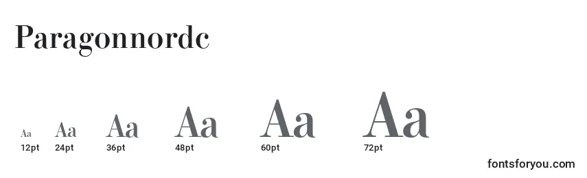 Paragonnordc Font Sizes