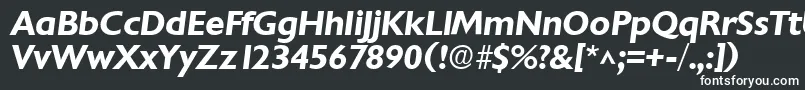 Шрифт ChantillyBoldItalic – белые шрифты на чёрном фоне