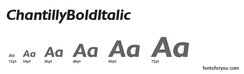 ChantillyBoldItalic Font Sizes