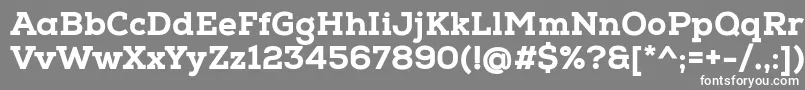 フォントNexaSlabHeavy – 灰色の背景に白い文字