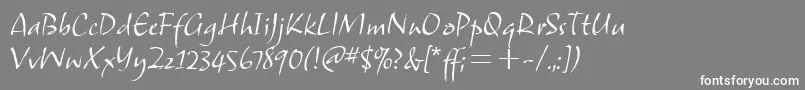 SamuelitcTt-fontti – valkoiset fontit harmaalla taustalla