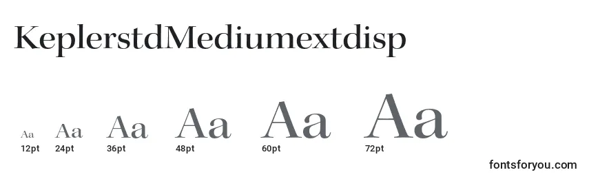 Размеры шрифта KeplerstdMediumextdisp