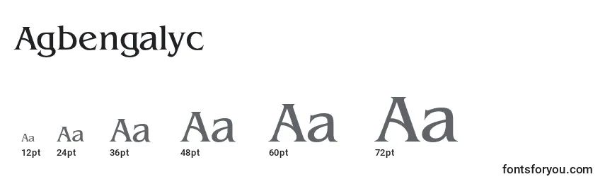 Размеры шрифта Agbengalyc